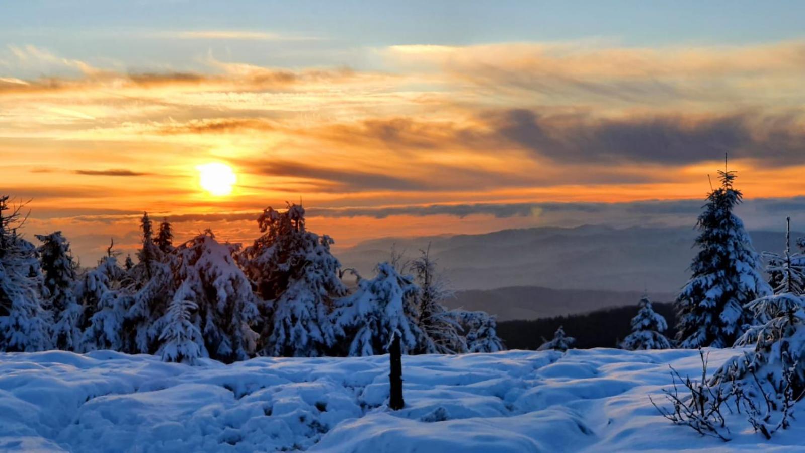 Mietowka Daire Żywiec Dış mekan fotoğraf